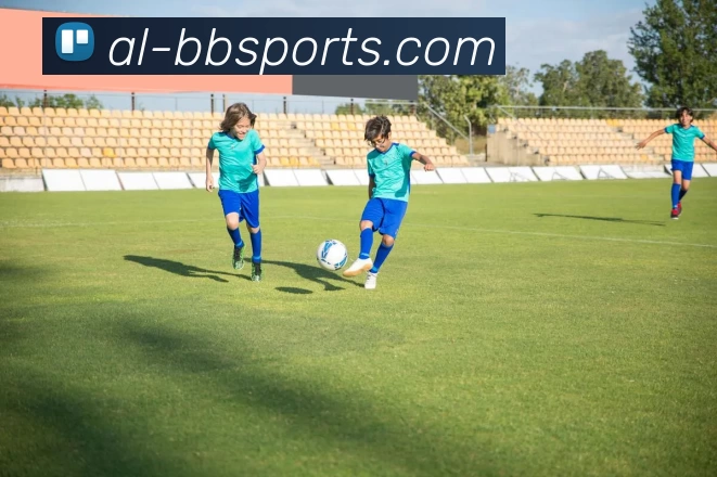 贝博体育BBSportAPP 封面图